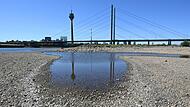 Niedrigwasser im Rhein Niedrigwasser im Rhein