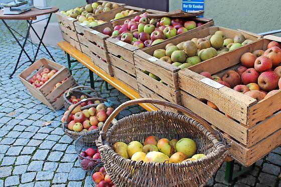 Eine große Vielfalt, nicht nur bei den vielen verschiedenen Apfelsorten, gibt es wieder beim Streuobstmarkt zu entdecken.