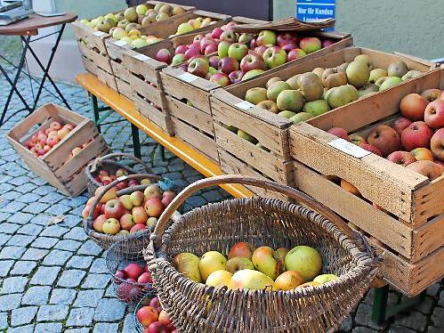 Eine große Vielfalt, nicht nur bei den vielen verschiedenen Apfelsorten, gibt es wieder beim Streuobstmarkt zu entdecken.