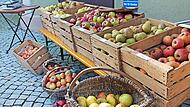 Eine große Vielfalt, nicht nur bei den vielen verschiedenen Apfelsorten, gibt es wieder beim Streuobstmarkt zu entdecken.