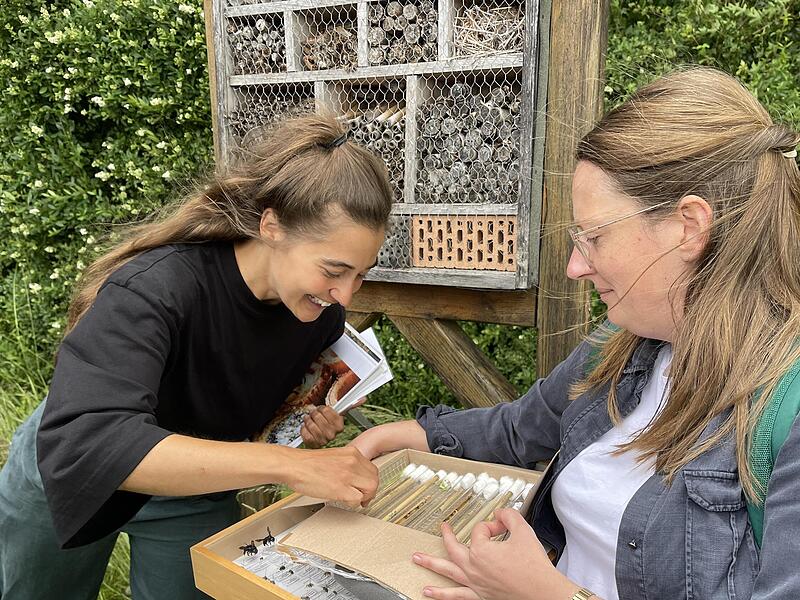 Dr. Maihoff und Dr. Wolz erklären, wie Insekten im Wildbienenhotel leben und auf was beim Bau zu achten ist.