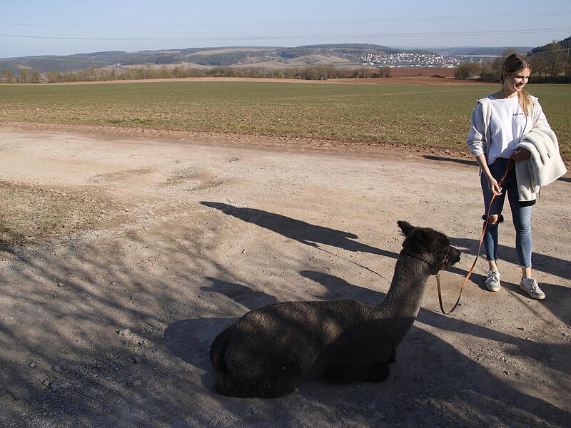 Sonne und Natur während der AlpakawanderungAlpakawanderung Reichenbach Sonne und Natur während der Alpakawanderung