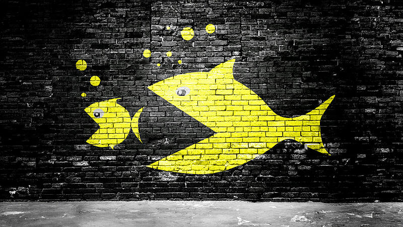 Wer schluckt wen? Drei gro&szlig;e Unternehmen aus der Region wurden &uuml;bernommen oder haben fusioniert.