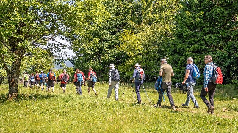 Wanderung auf der Kreuzbergtour. Wanderung auf der Kreuzbergtour.