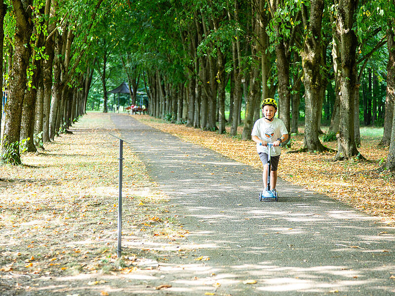 Baille-Maille-Allee Himmelkron Baille-Maille-Allee Himmelkron