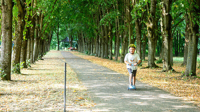 Baille-Maille-Allee Himmelkron Baille-Maille-Allee Himmelkron