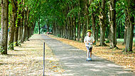 Baille-Maille-Allee Himmelkron Baille-Maille-Allee Himmelkron