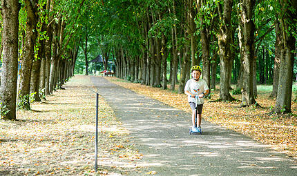 Baille-Maille-Allee Himmelkron