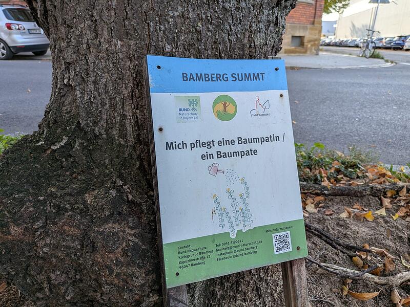 Baumscheibenpatenschaft Bamberg Baumscheibenpatenschaft Bamberg