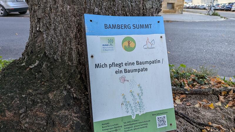 Baumscheibenpatenschaft Bamberg