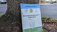 Baumscheibenpatenschaft Bamberg Baumscheibenpatenschaft Bamberg