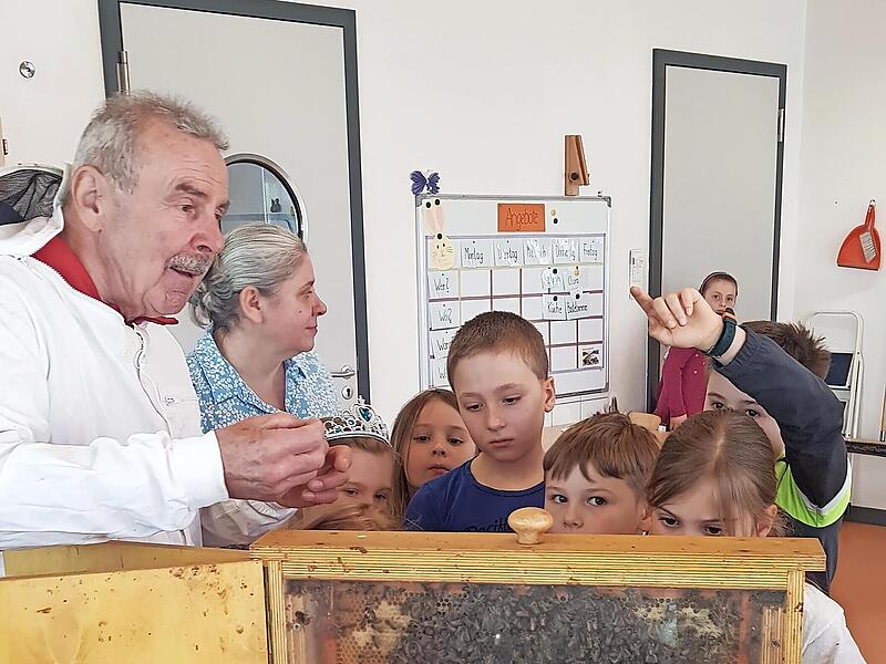 Das Highlight der Woche: Ein Imker war zu Besuch.