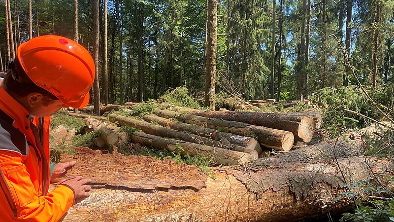 Wald