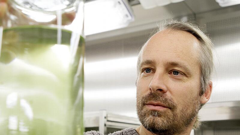 Laforsch Mikroplastik Laforsch Mikroplastik