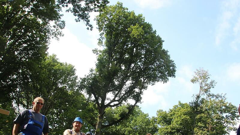 Wolfgang Meixner, Georg Pornschlegel und Christopher Geldner (von links) sind drei von insgesamt 66 Waldbauern der Waldkorporation Güterholz Nedensdorf, die in den Eierbergen auf traditionelle Weise wirtschaften.
