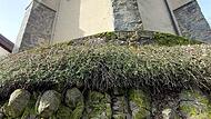 Die Wallfahrtskirche Volkersberg wurde direkt auf die Basaltsäulen gebaut.