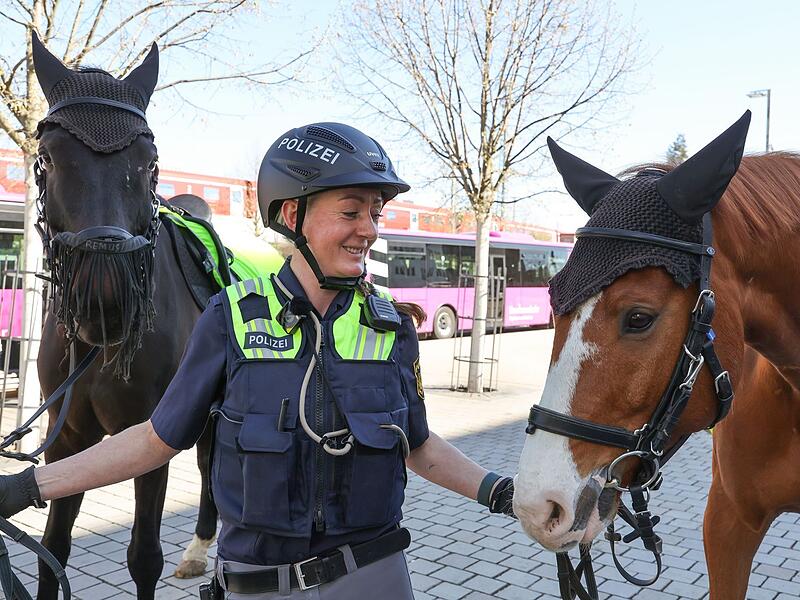 Reiterstaffel im Brennpunktviertel im Einsatz Reiterstaffel im Brennpunktviertel im Einsatz