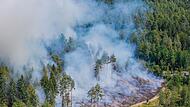 Waldbrand im Landkreis Bamberg