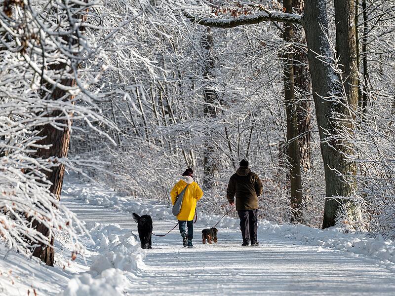 Winterwetter in Coburg
