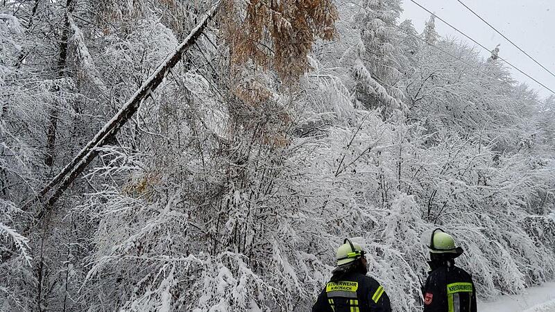 Einsatz im Steigerwald: Der besch&auml;digte Leitungsabschnitt konnte durch die zentrale Netzleitstelle schnell eingegrenzt werden.