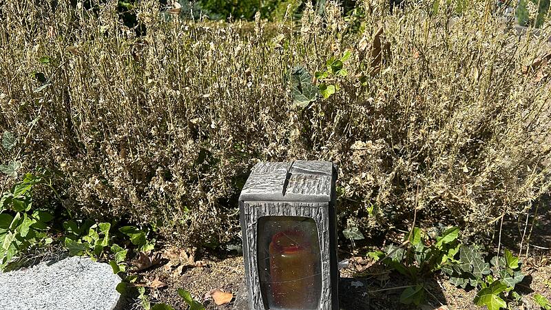 Der Buchsbaumz&uuml;nsler hat am Coburger Friedhof viele Hecken und Str&auml;ucher kaputt gefressen.
