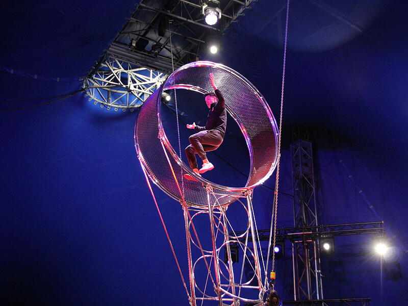 Blick hinter die Kulissen beim Zirkus Charles Knie