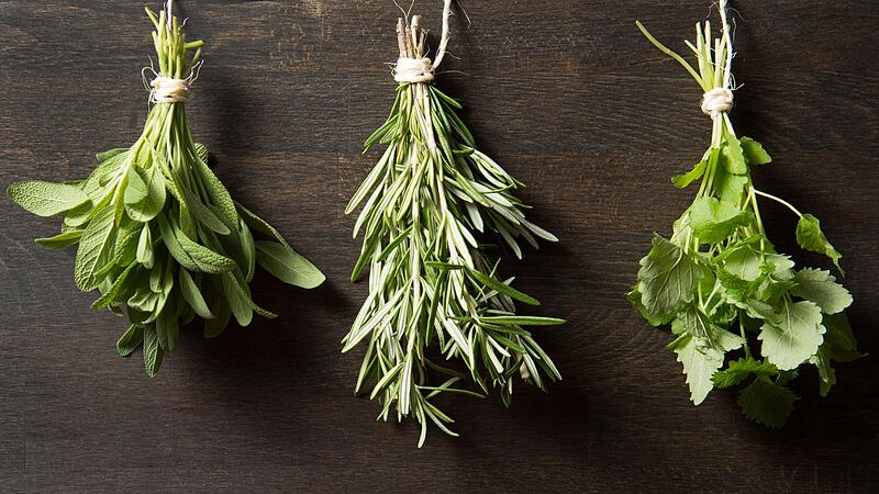 Frische Kr&auml;uter trocknen