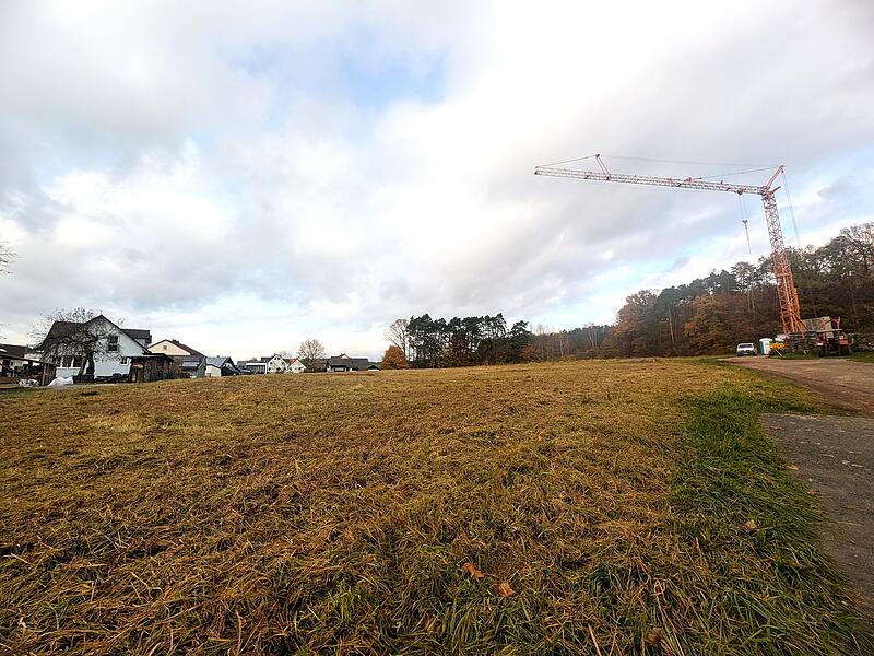 Bald könnte die Wiese zwischen der Wimmelbacher Röthengasse und der Waldstraße in Hausen bebaut werden.