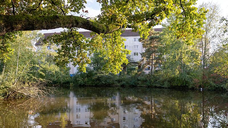 Langwassersee in Nürnberg verunreinigt