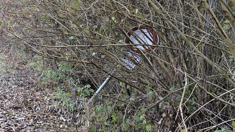 Erst im Winter, nachdem die Bl&auml;tter gefallen waren, wurde dieses Verkehrsschild bei Spiesberg wieder einigerma&szlig;en sichtbar.