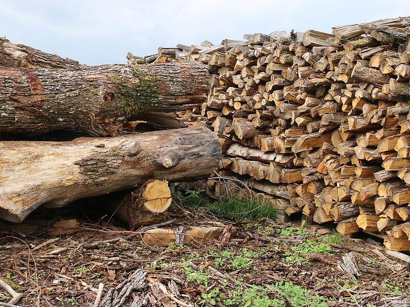 Holzpreise Holzpreise