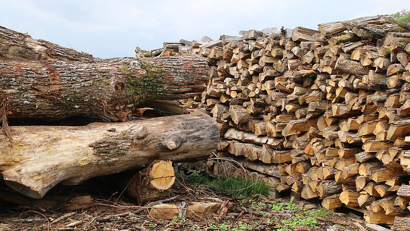Holzpreise Holzpreise