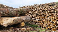 Holzpreise Holzpreise