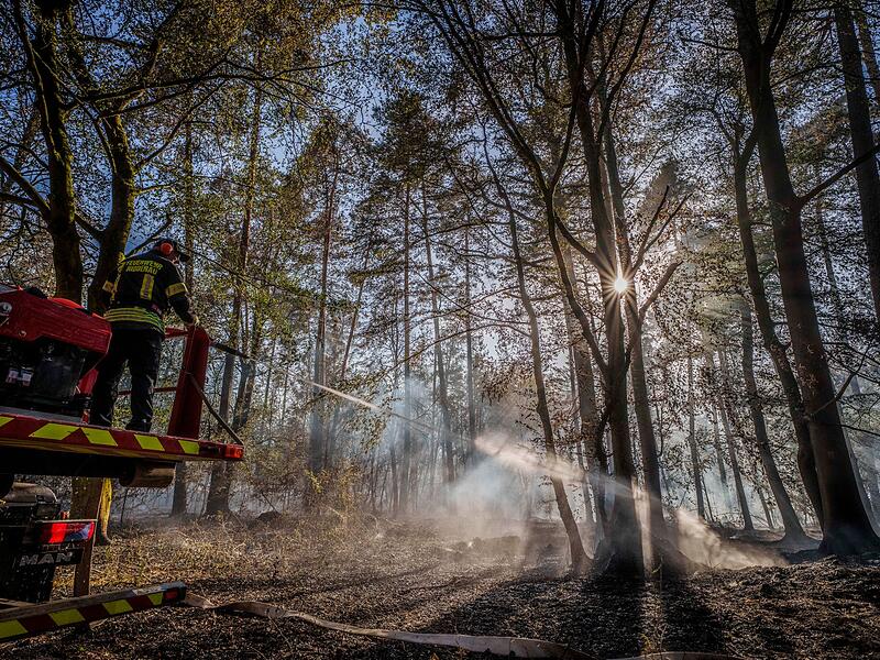 Waldbrand in Hessen Waldbrand in Hessen