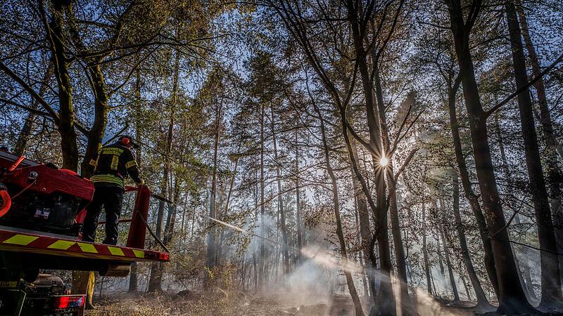 Waldbrand in Hessen Waldbrand in Hessen