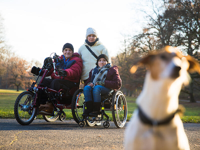 Familie Pelikan im Hain