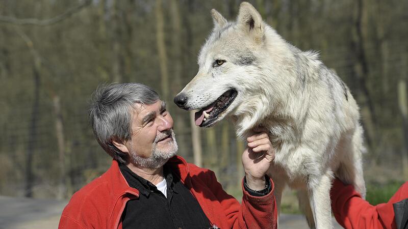 Kurt Kotrschal mit einem Bewohner des von ihm mitbegr&uuml;ndeten Wolf Science Centers.