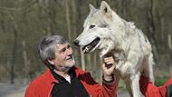 Kurt Kotrschal mit einem Bewohner des von ihm mitbegr&uuml;ndeten Wolf Science Centers.