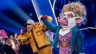 &bdquo;The Masked Singer&ldquo; - Finale