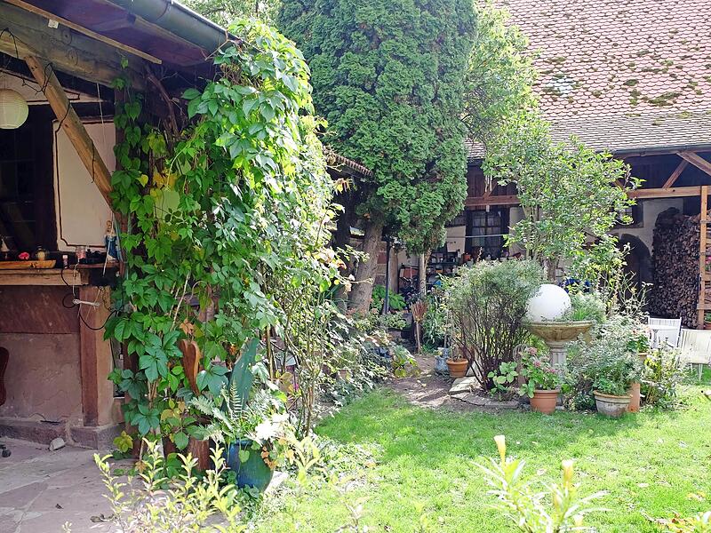 Im idyllischen Beichels-Hof in der Altstadt gibt es am 6. Juni eine musikalische Matinee mit Frühstück. Im idyllischen Beichels-Hof in der Altstadt gibt es am 6. Juni eine musikalische Matinee mit Frühstück.