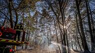 Waldbrand in Hessen