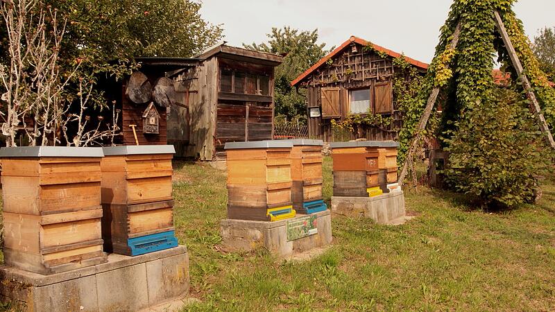 Der Imker-Kreisverband möchte die Ausbildung am Lehrbienenstand in Kirchlauter reaktivieren.