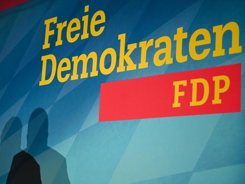 FDP-Logo