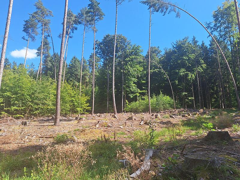 Frankenwald im Wandel