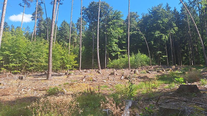 Frankenwald im Wandel