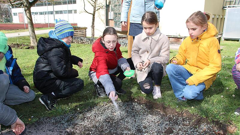 Emil Eberhardt, Emma Wienarick, Anastasia Ivahov und Johanna Matezky  säen die vorbereiteten Blumensamen im Schulgarten aus.