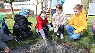 Emil Eberhardt, Emma Wienarick, Anastasia Ivahov und Johanna Matezky  säen die vorbereiteten Blumensamen im Schulgarten aus.