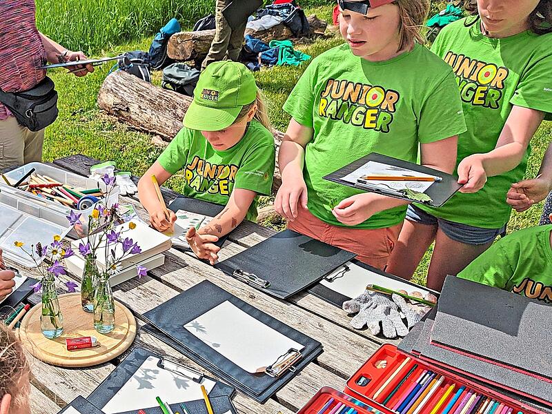 Junior-Ranger sind in Aktion bei der Pflanzenkunde. Melanie Chist&eacute;