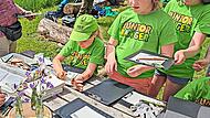 Junior-Ranger sind in Aktion bei der Pflanzenkunde. Melanie Chist&eacute;