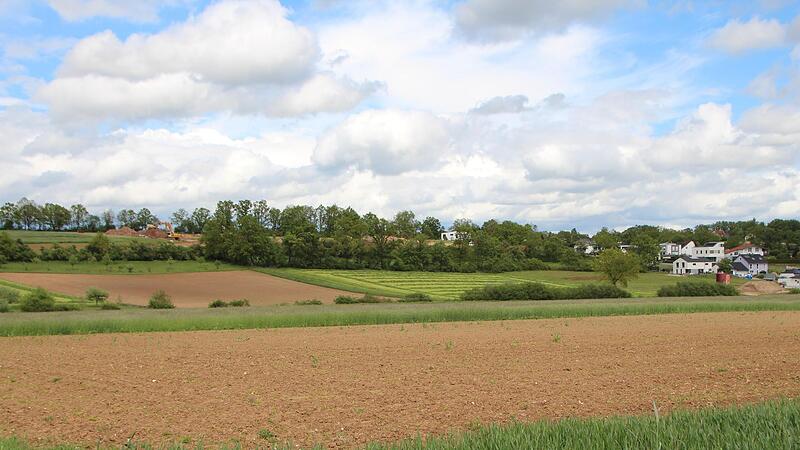 Sollen hier am Häckersteig weitere Wohnhäuser entstehen? Der Stadtrat hat mit großer Mehrheit ja gesagt, eine Bürgerinitiative will das verhindern.